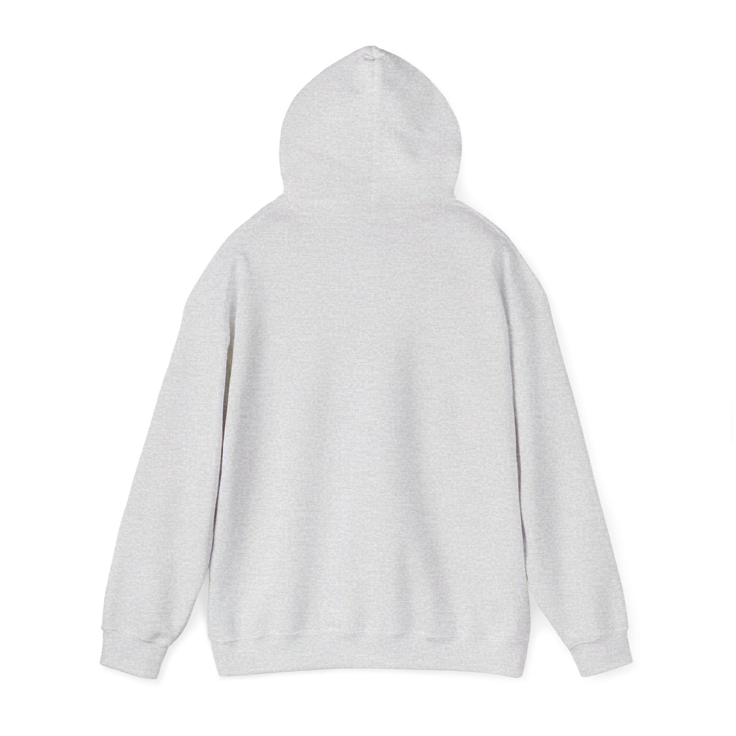 Classic Public Image Hoodie