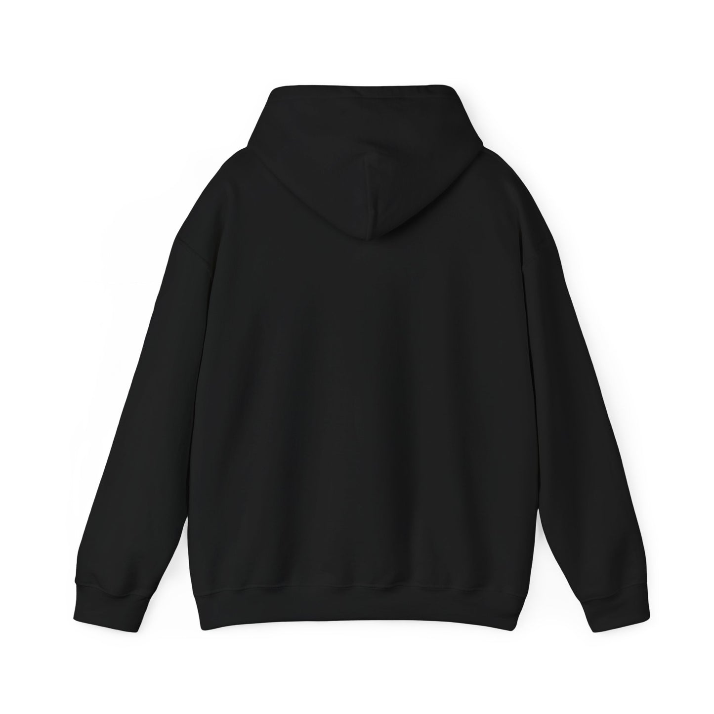 Classic Public Image Hoodie