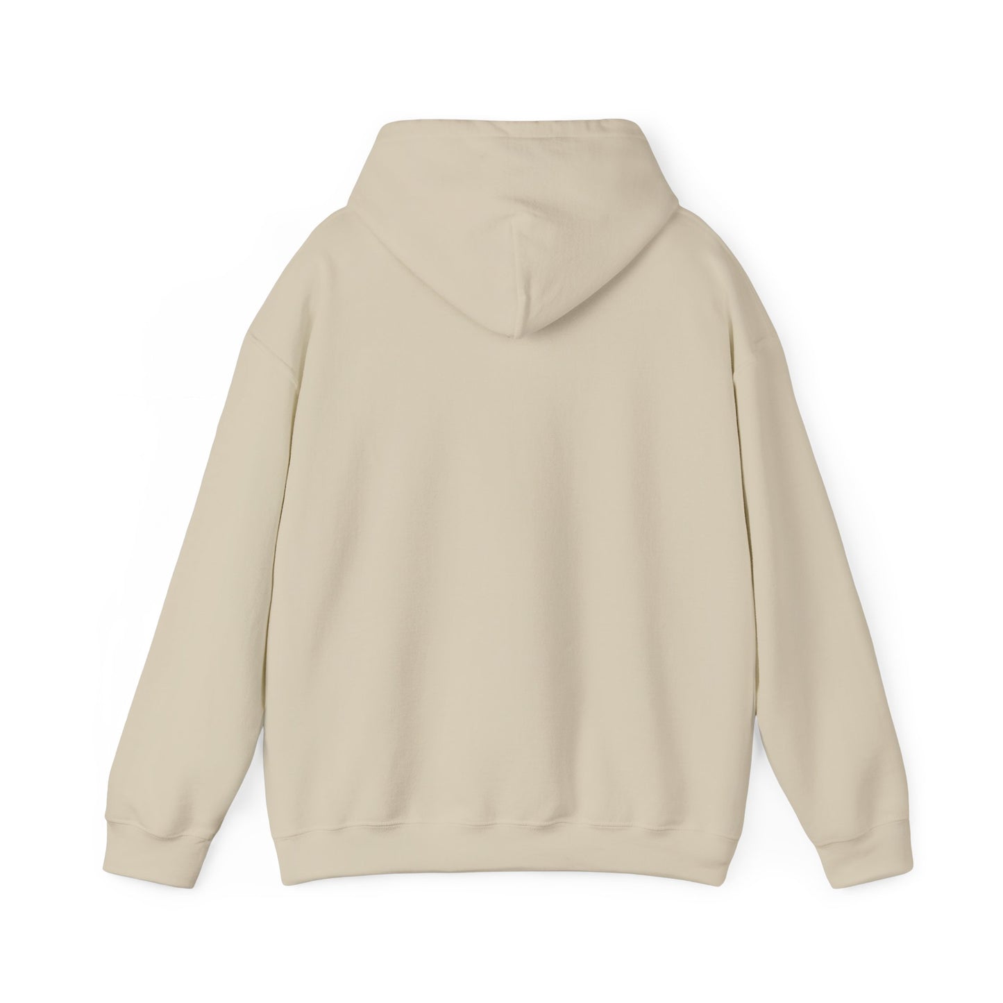 Classic Public Image Hoodie