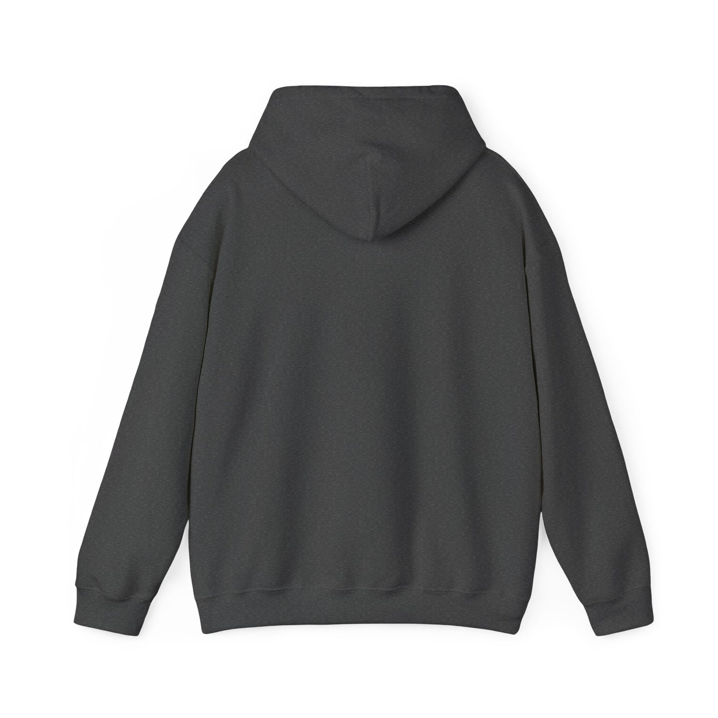 Classic Public Image Hoodie