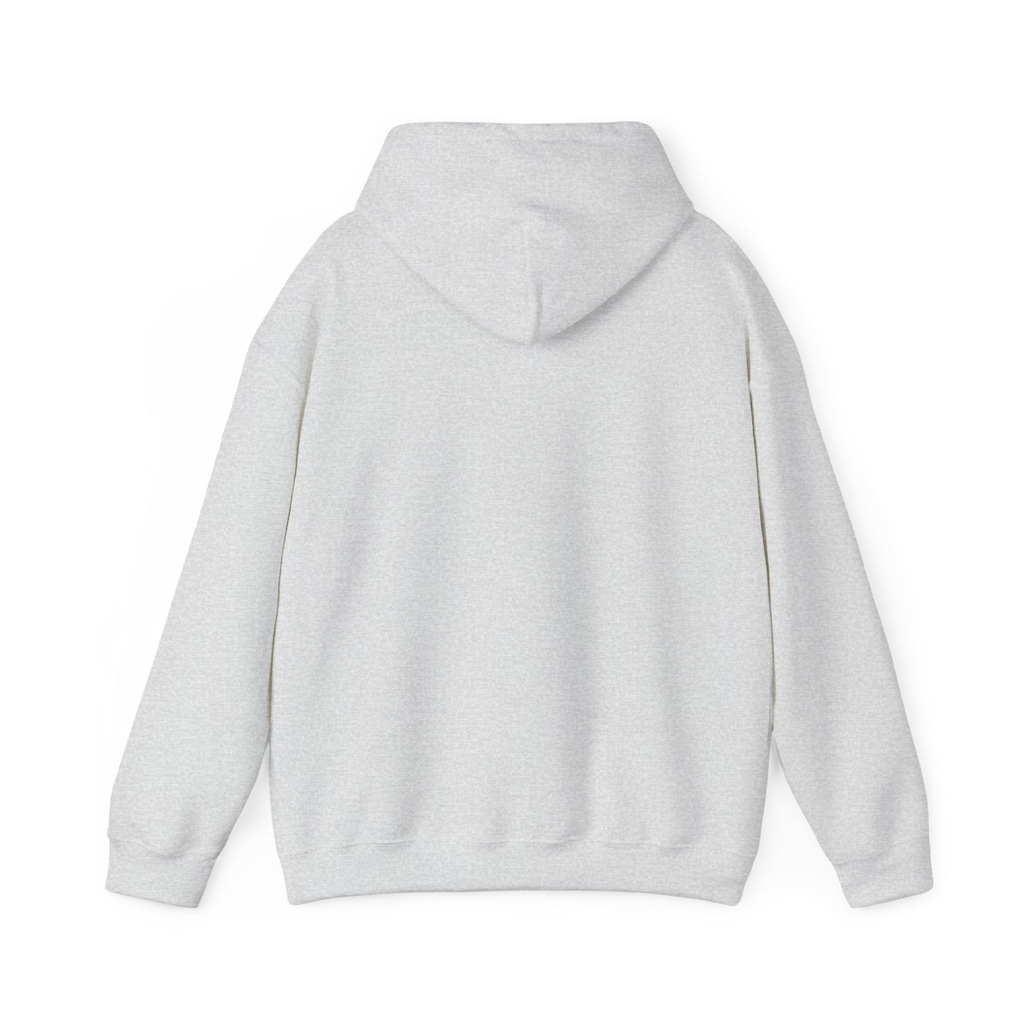 Classic Public Image Hoodie