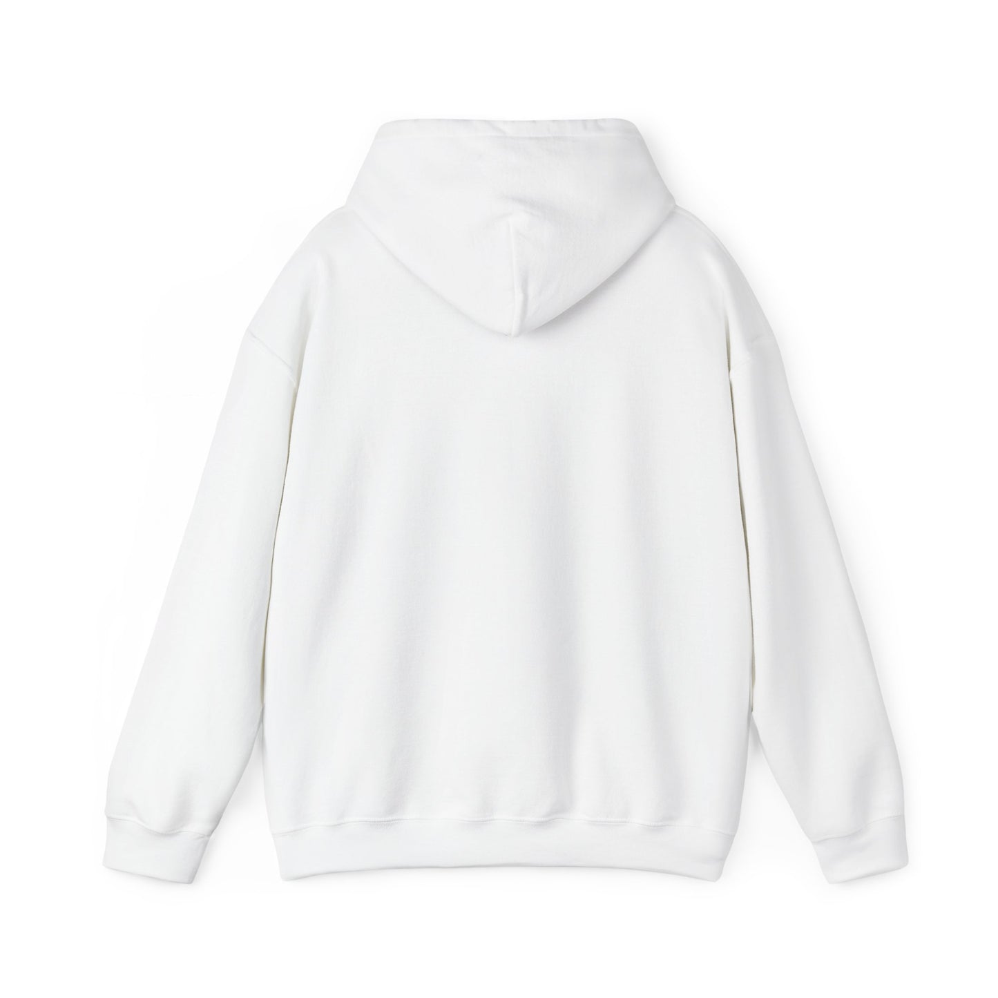Classic Public Image Hoodie