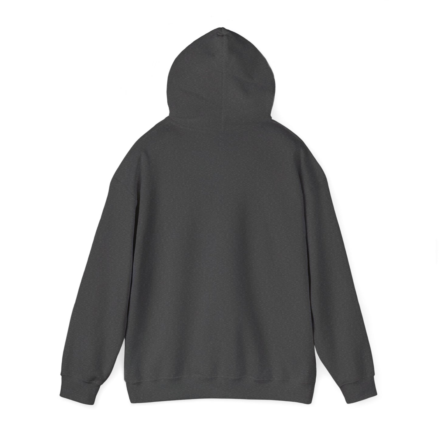 Classic Public Image Hoodie