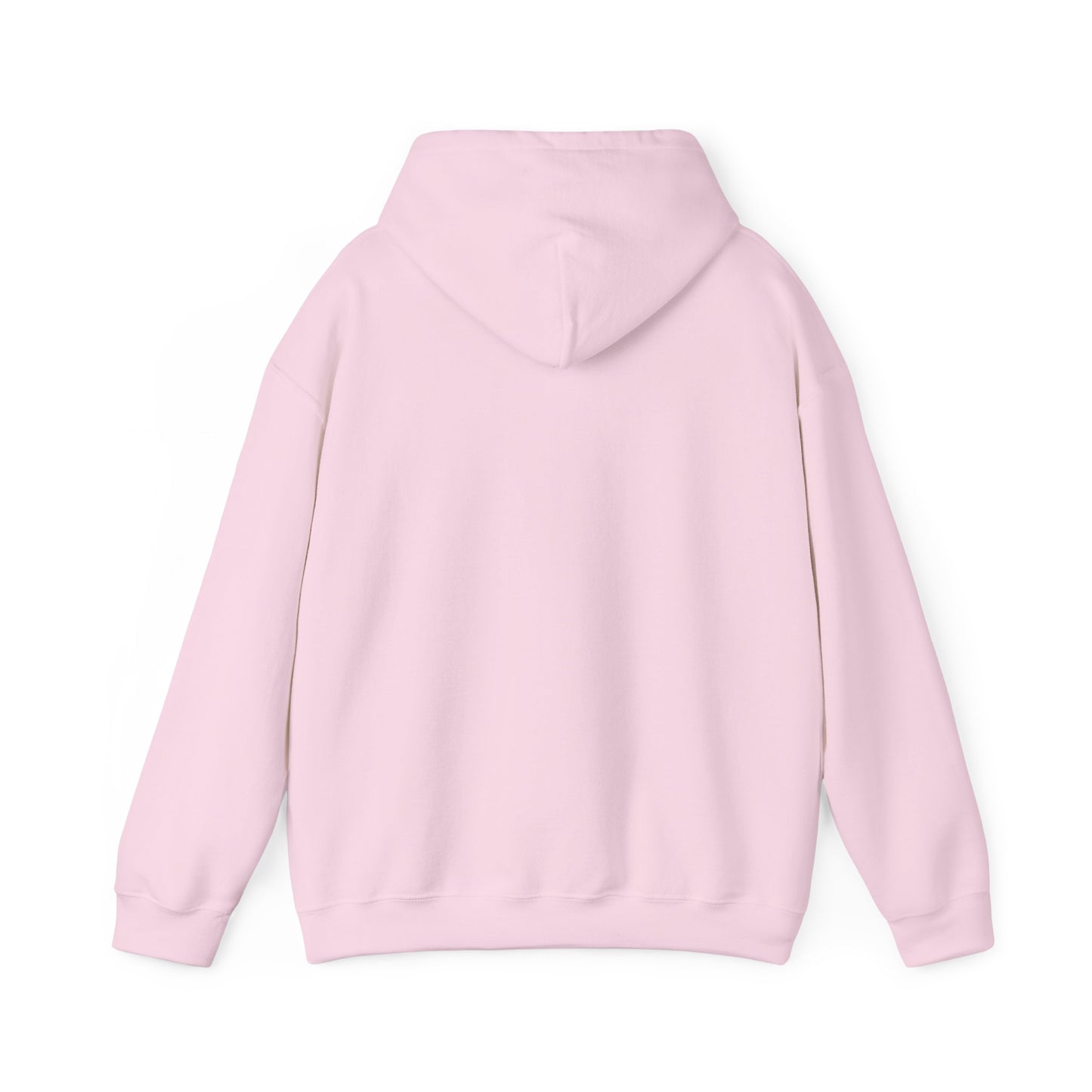 Classic Public Image Hoodie