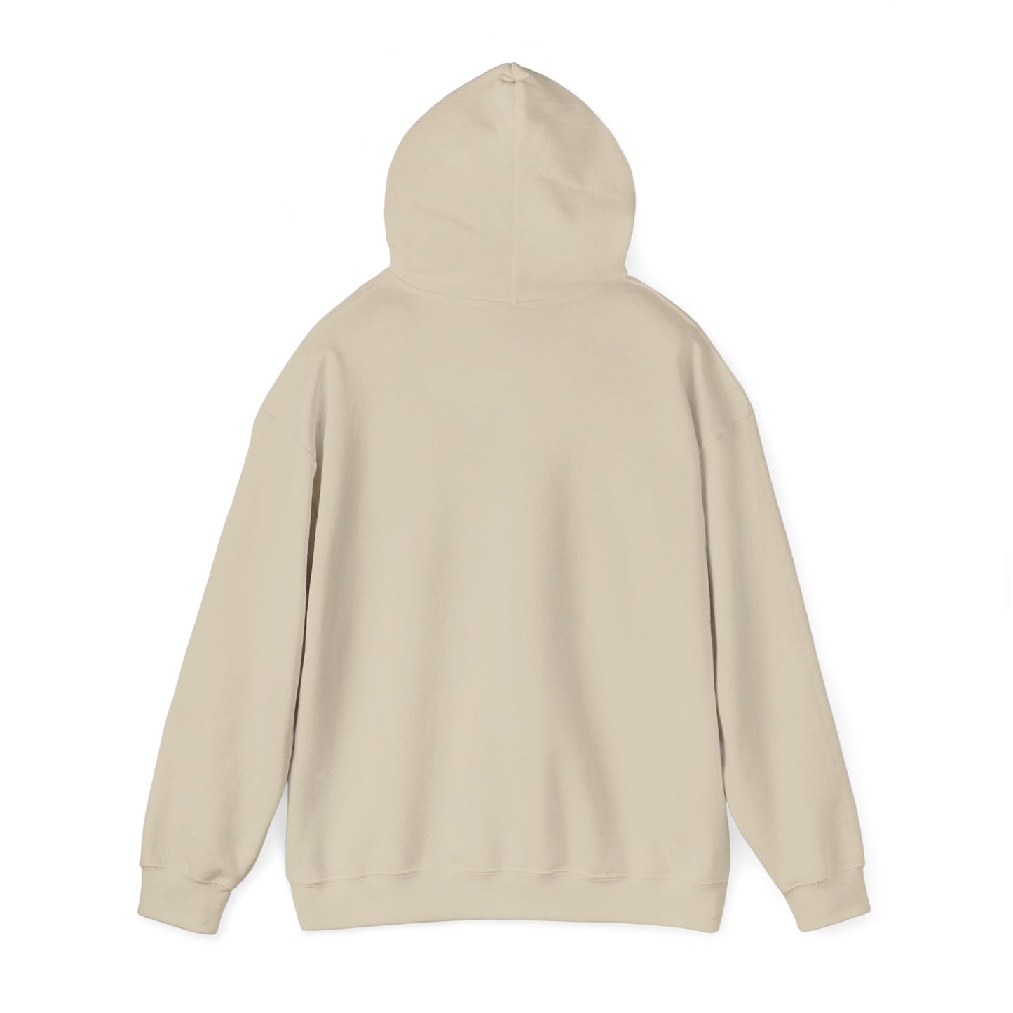Classic Public Image Hoodie