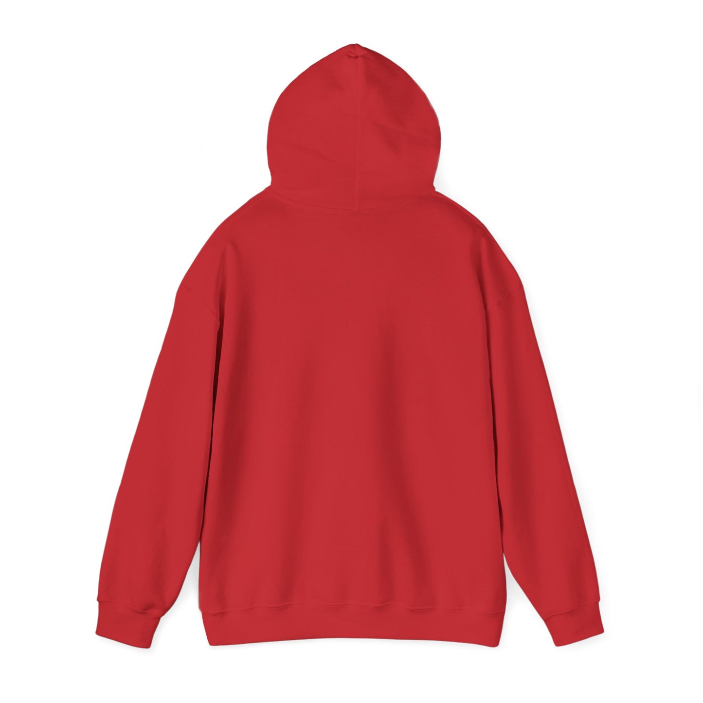 Classic Public Image Hoodie