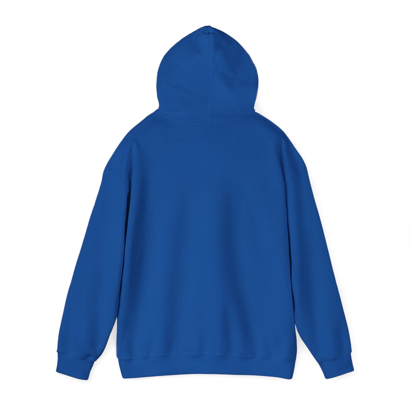 Classic Public Image Hoodie