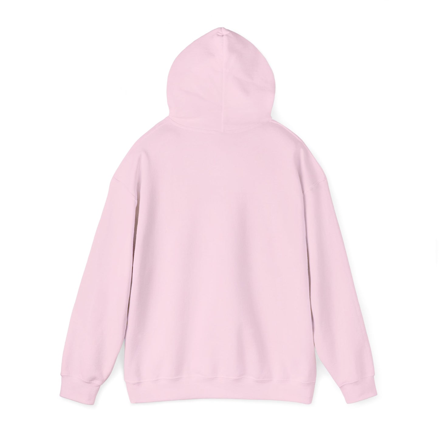 Classic Public Image Hoodie