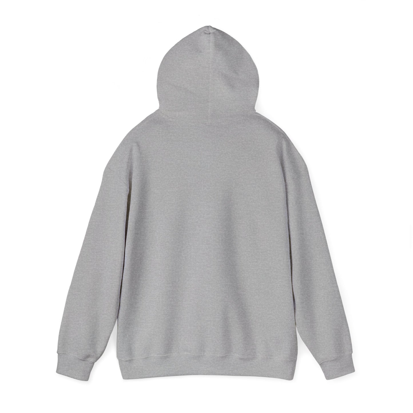 Classic Public Image Hoodie