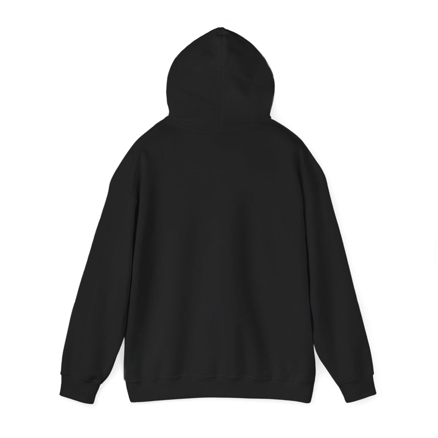 Classic Public Image Hoodie