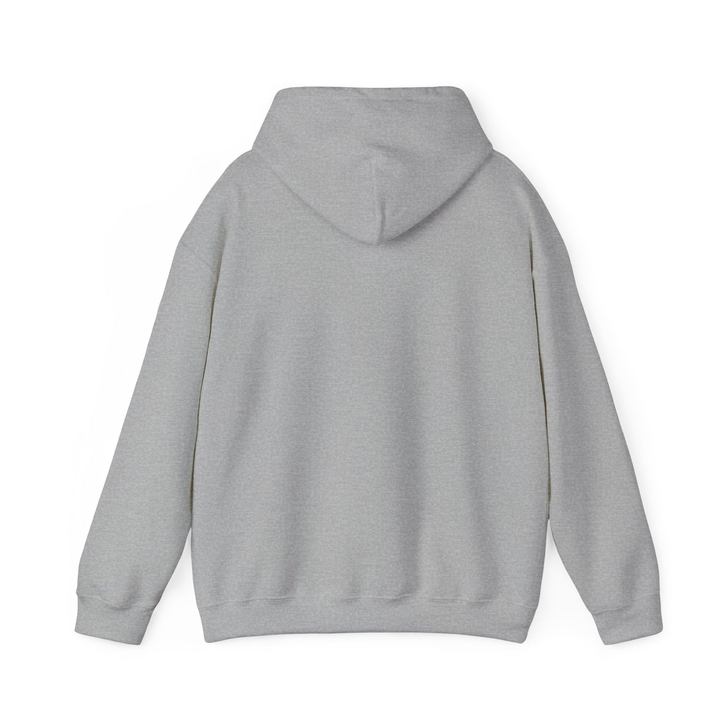 Classic Public Image Hoodie